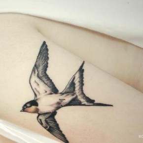 Татуировки для девушек ласточки на руке